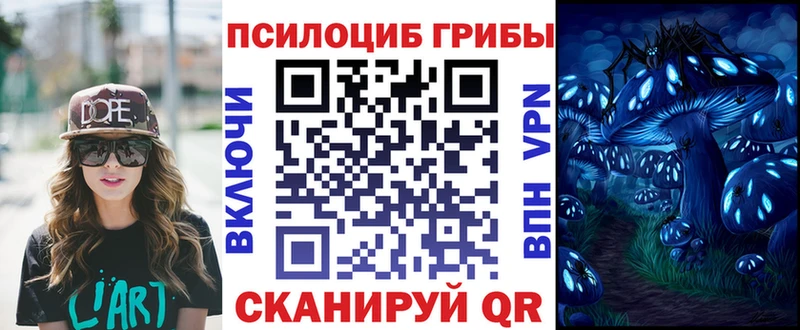 Псилоцибиновые грибы ЛСД  где можно купить   Ефремов 